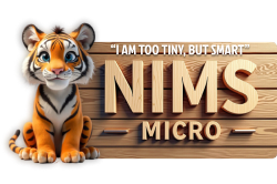 NIMS Micro Hospitals